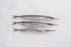 Japanese Needle Nose Gar