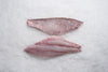 Red Snapper